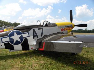 P-51 Mustang ‘NEVER Miss’