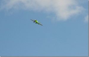 The mustang in-flight and tracking nice and steady!