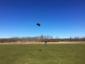 Steves' 'Ryan Flyer' in flight