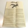 Girard's Swift - Image 3